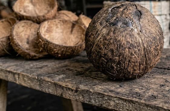 COCONUT SHELL
